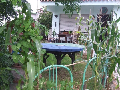 LaHuertaDeMartino - 00a